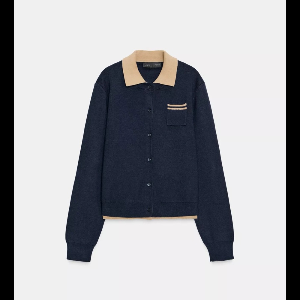 Zara Navy and Tan Blazer